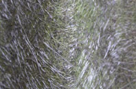 Willington fibreglass roof work